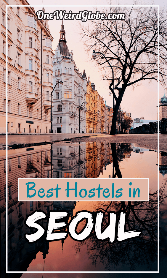 Best Hostels in Seoul