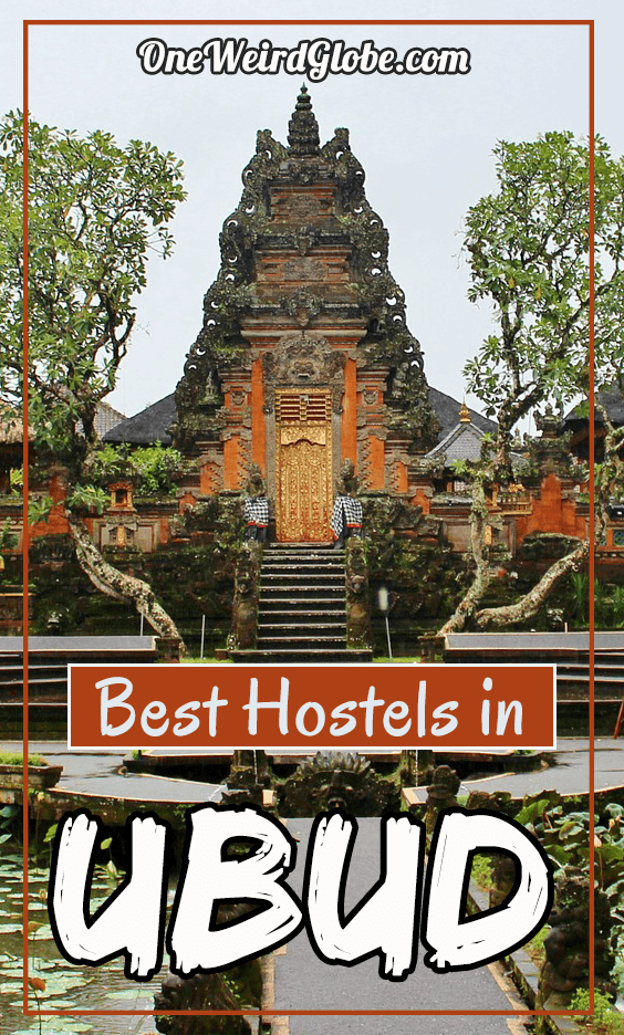 Best Hostels in Ubud