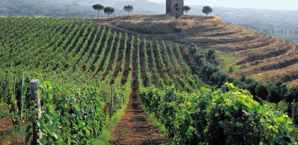 Castelli-Romani-3.5-Hour-Private-Wine-Tour-from-Rome