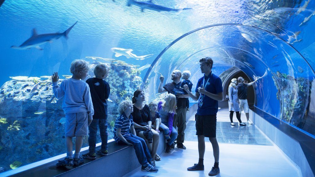 Den-Bla-Planet-National-Aquarium