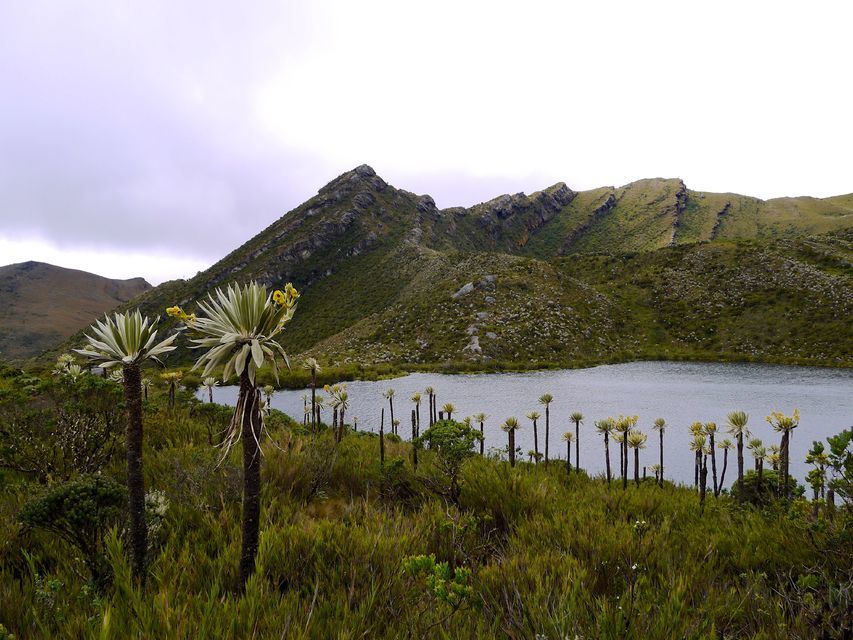 From-Bogota-Chingaza-National-Park-Eco-Tour
