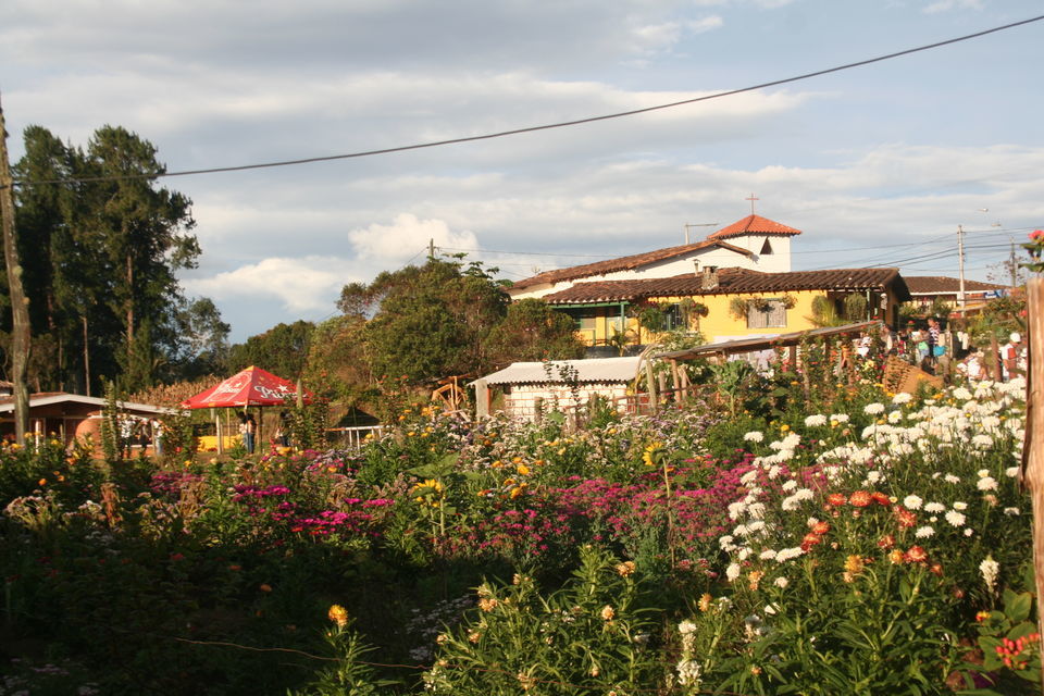 From-Medellin-Flower-Farm-Tour
