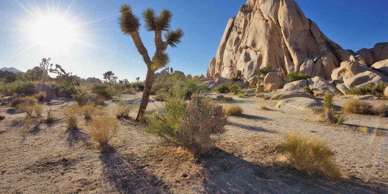 13 COOLEST Day Trips from Los Angeles [2023!] – One Weird Globe