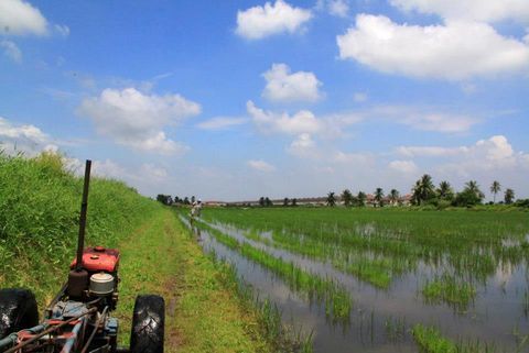 Mahasawat-Canal-Full-Day-Farm-Tour-with-Admission-and-Lunch