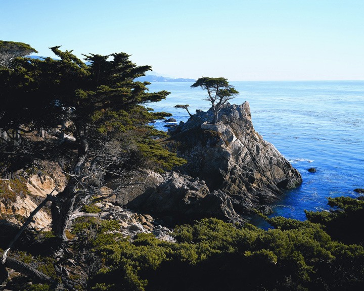 Pacific-Coastal-Highway-Tour-to-Monterey-and-Carmel