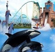 Round-trip-Transportation-to-Sea-World-San-Diego-From-L-A