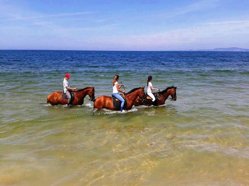 Horses-in-the-Sand-Private-Tour