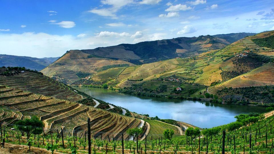 Regua-and-Douro-Valley-Scenic-Rail-and-Cruise-from-Porto
