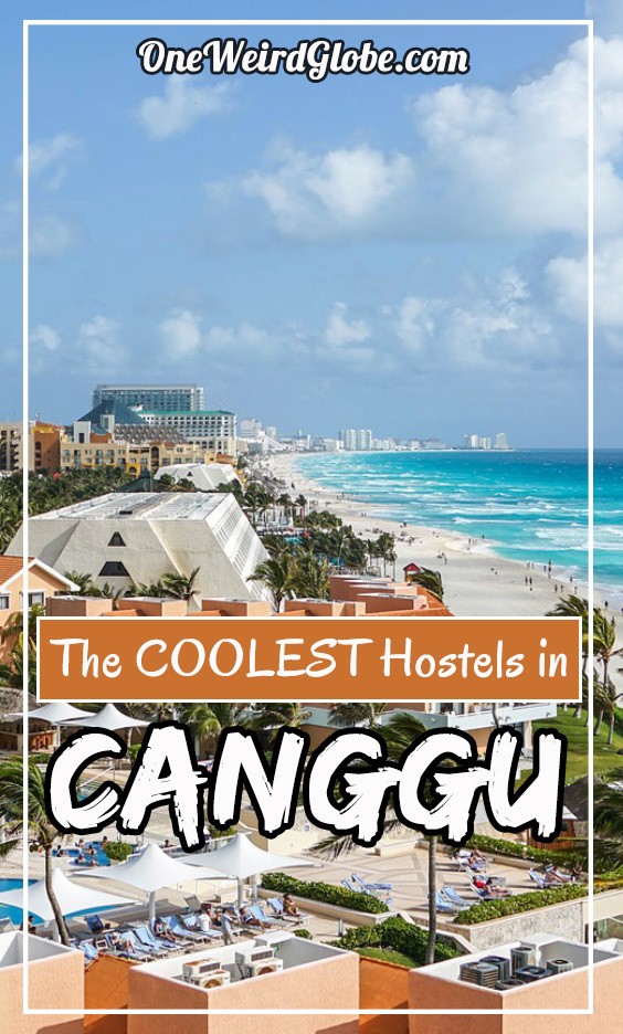 Best Hostels in Canggu
