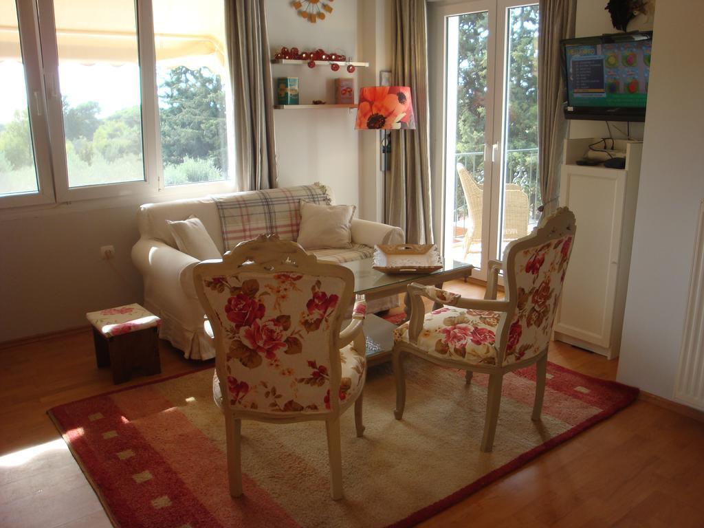 Countryside flat next to airport Rafina port