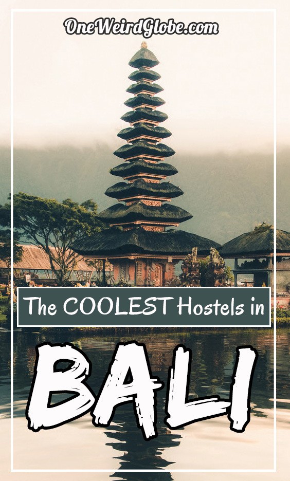 Best Hostels in Bali