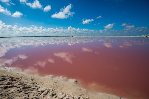 Pink Lakes of Las Coloradas
