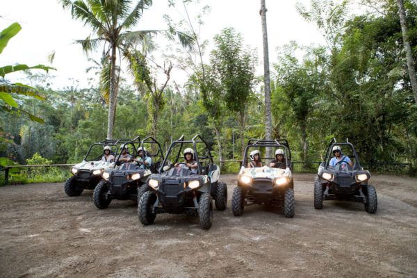 ATV Jungle Buggy Adventure