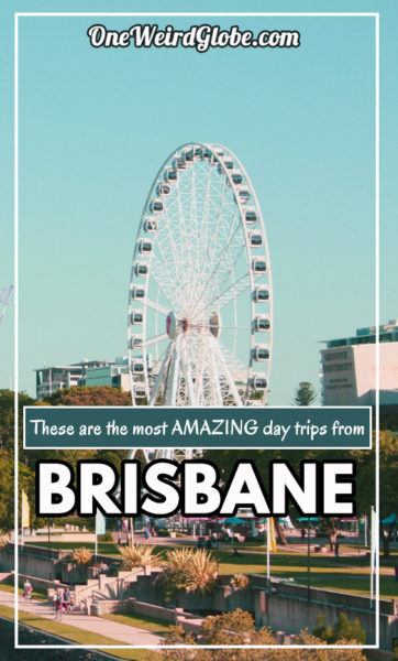 easy day trips from brisbane