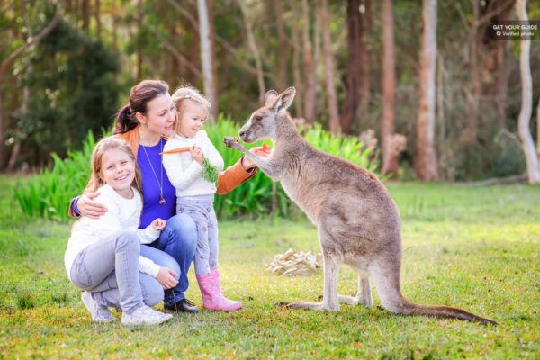 Australia Zoo Full-Day Tour from Brisbane
