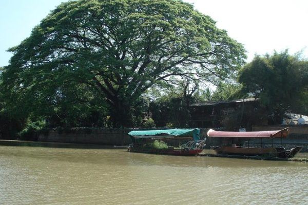 Boat Trip on the Mae Ping River