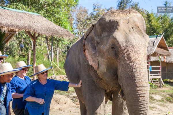 Elephant Sanctuary Small Group Ethical Tour