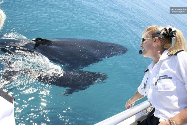 Whale Watching Cruise with Gourmet Lunch