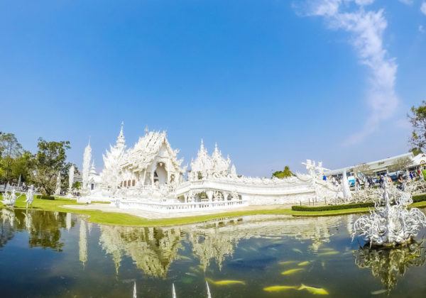 White Temple and Golden Triangle Day Trip