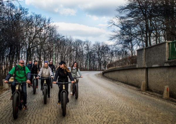 Vienna Go Green Eco Tour by Electric Fatbike