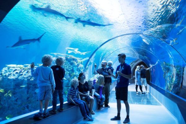 National Aquarium of Denmark