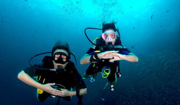 Scuba Diving One-Day Experience