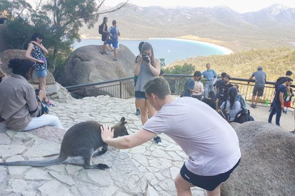 Spend a Day at Freycinet National Park and Wineglass Bay