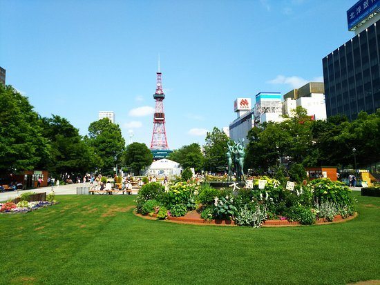 Hang out in Odori Park