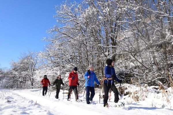 Head out on a snowshoe hike