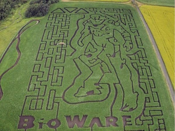 Try out the Edmonton Corn Maze