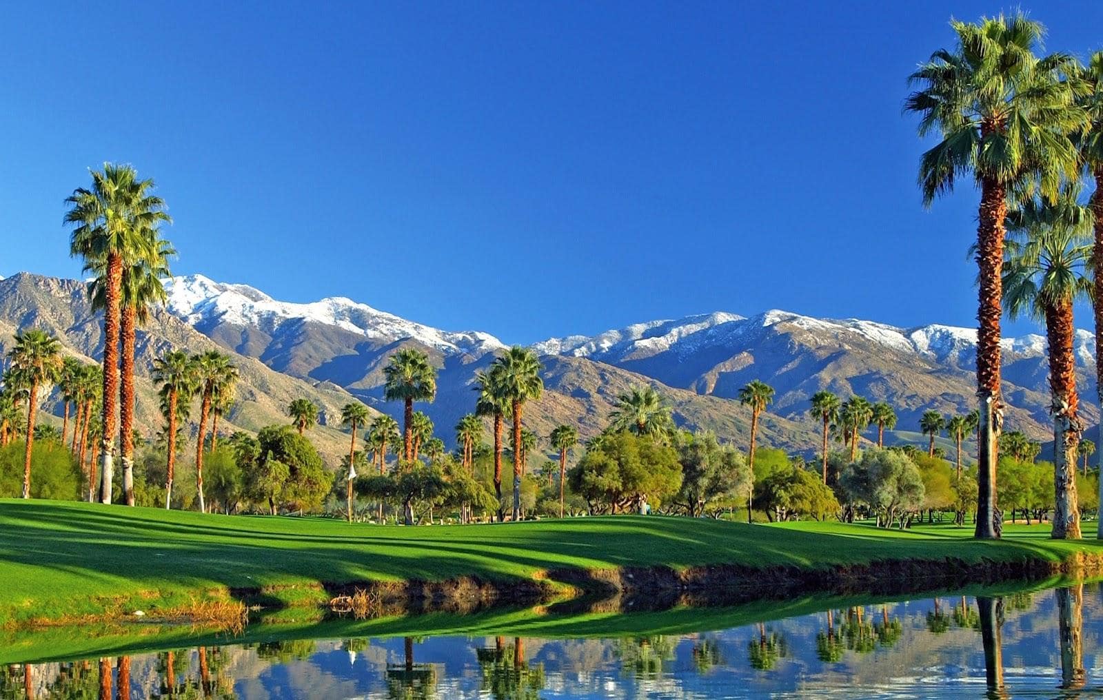 Wondering Where to Stay in Palm Springs? [2023!] One Weird Globe